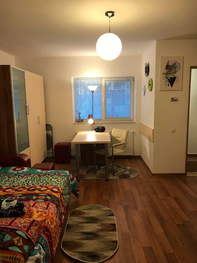Idefix Apartment Κλουζ-Ναπόκα Εξωτερικό φωτογραφία
